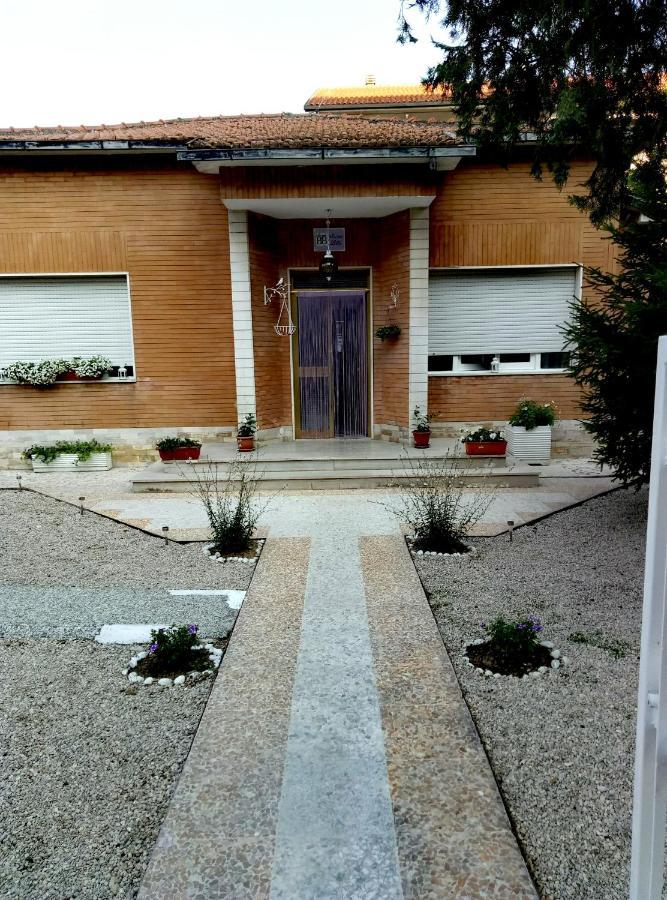 B&B Nonna Lilla Montesilvano Marina Εξωτερικό φωτογραφία